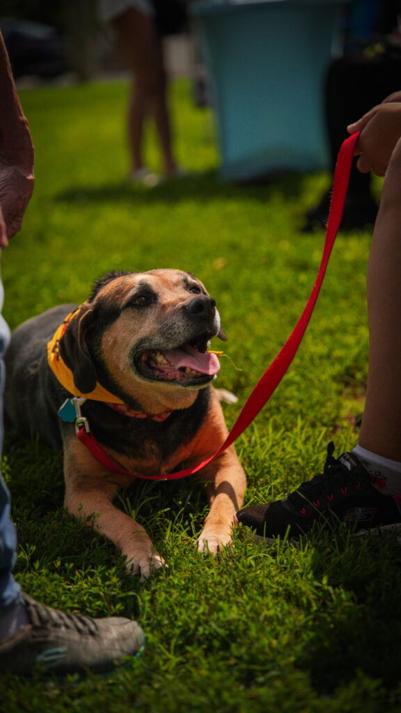 Abby – Awesome Girl!