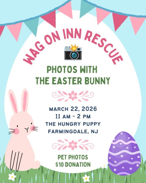 Photos with the Easter Bunny