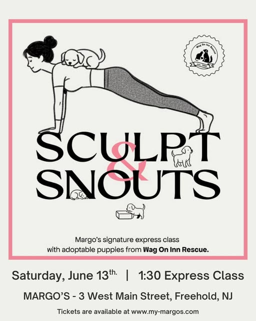 Margos Sculpt & Snouts Flyer